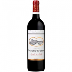 Château Chasse-Spleen 2019 Moulis-en-Medoc