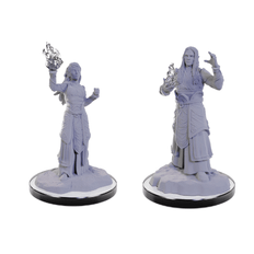 Dungeons & Dragons: Nolzur's Marvelous Miniatures - Elf Wizards