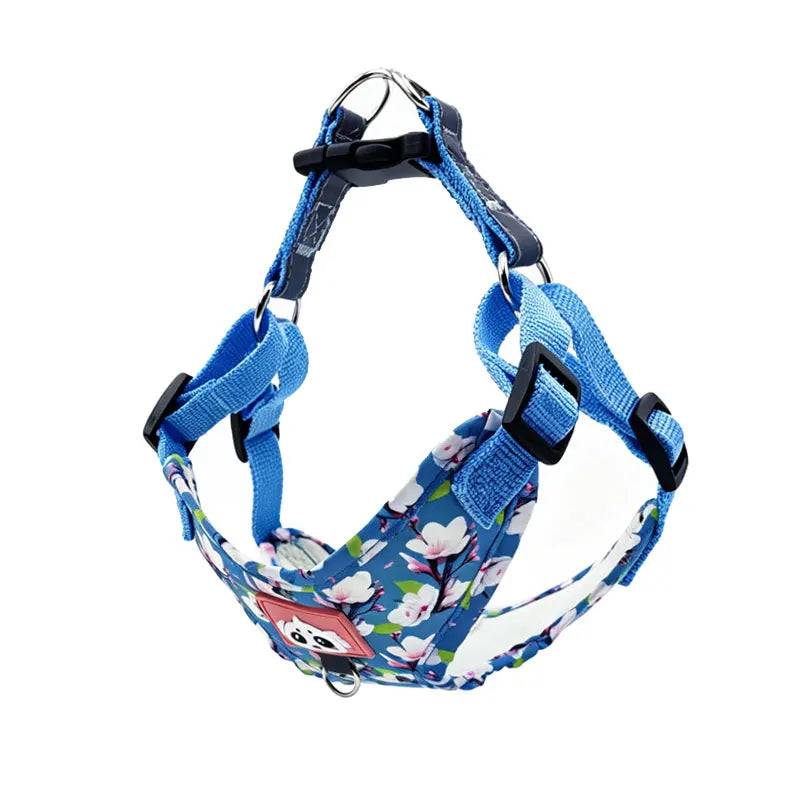 Adjustable Dog Harness & Leash Set with Reflective Strips - BLUE / XL (XL)
