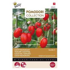 Pomodori Coll., Cocktailtomat Ravello F1, frø