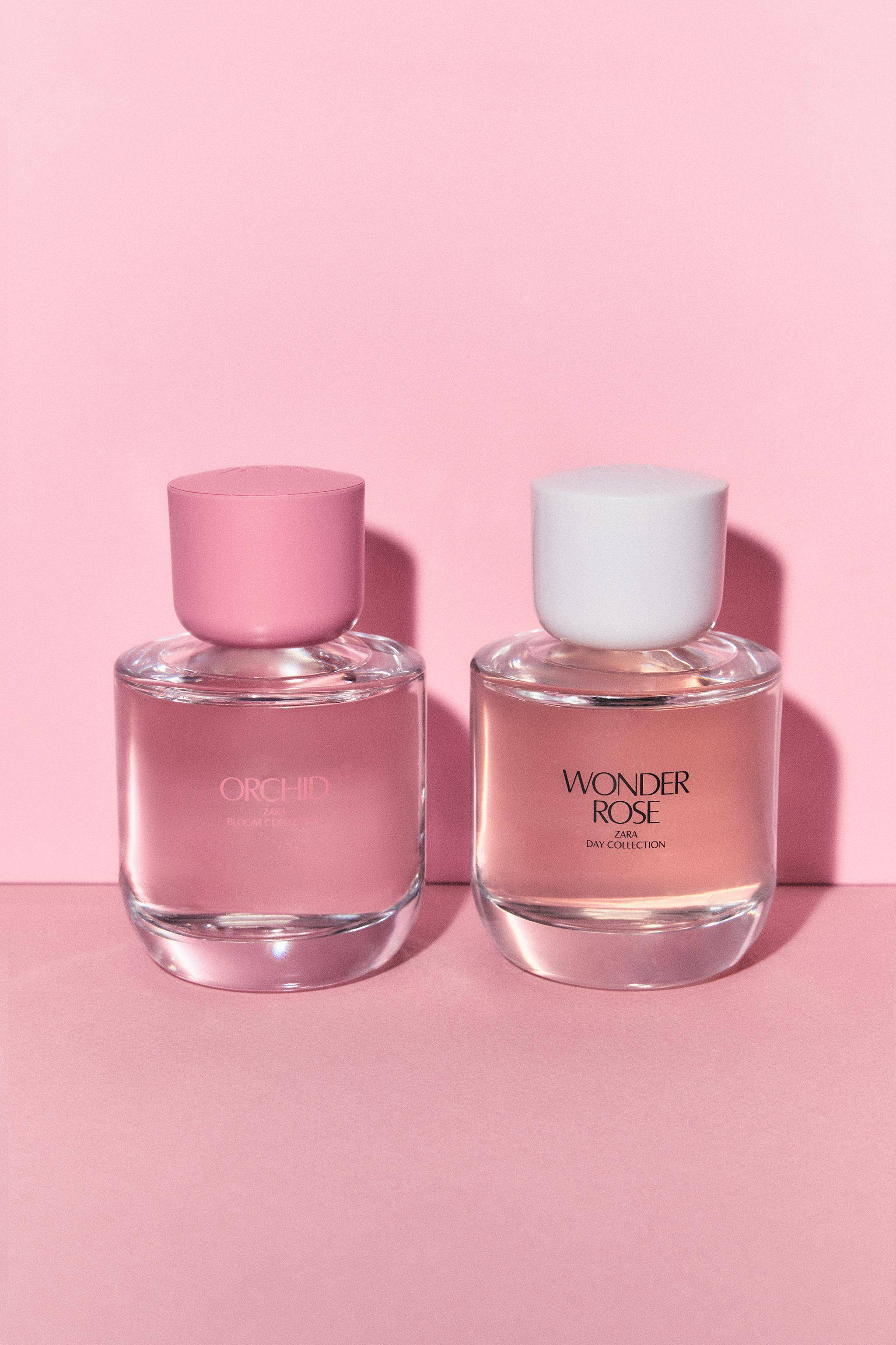 ORCHID & WONDER ROSE