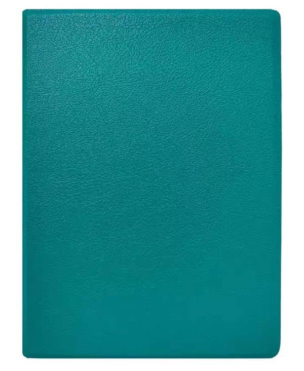 Cover - Magnetisk slimline cover - til Onyx Go 6 - Grøn