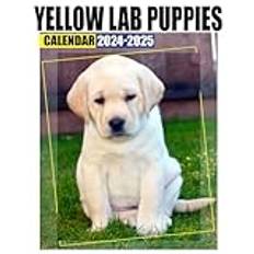 Yellow Lab Puppies Calendar 2024 - 2025: 24 Months Jan 2024 to December 2025, Novelty Gift for Organizing & Planning, Office Decor, or White Elephant, Christmas, Secret Santa Idea