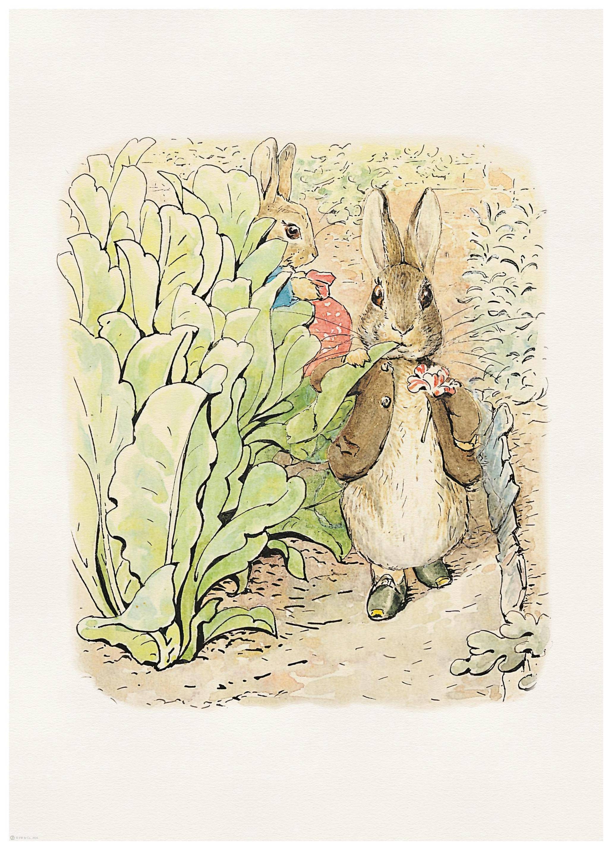 Peter Rabbit and Friends No2 Poster (50x70 cm) - Poster Store