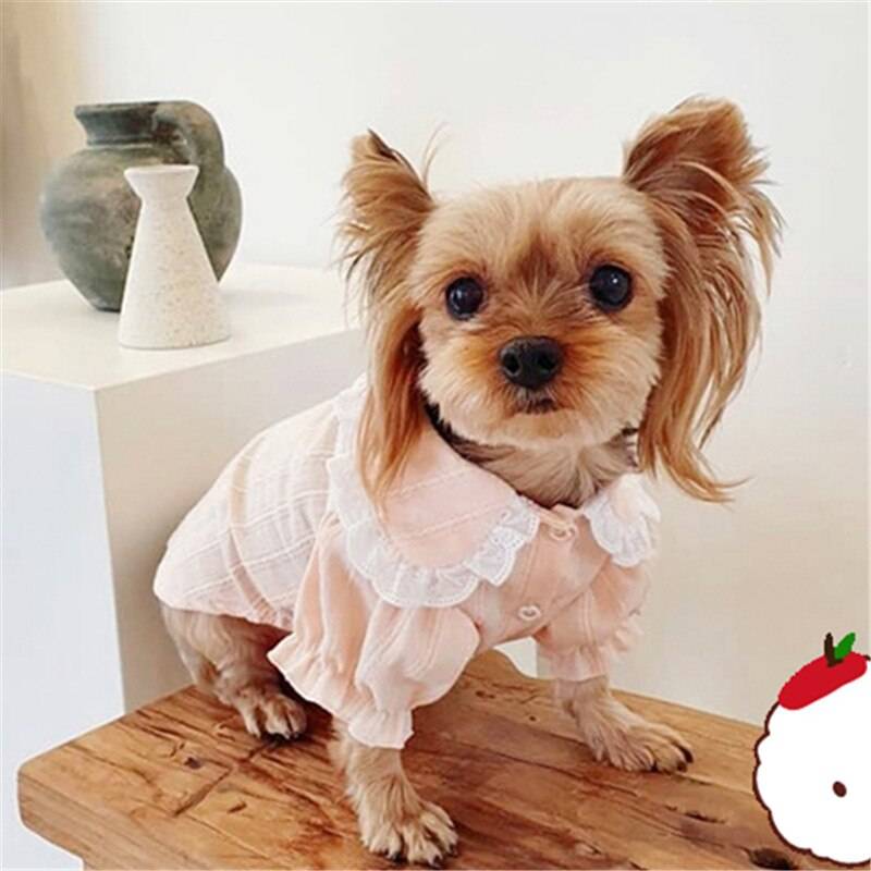 Katt valp hund skjorta vår sommar hund kläder yorkshire terrier pomeranian pudel bichon schnauzer hund kläder husdjur outfit kappa - Rosa / L
