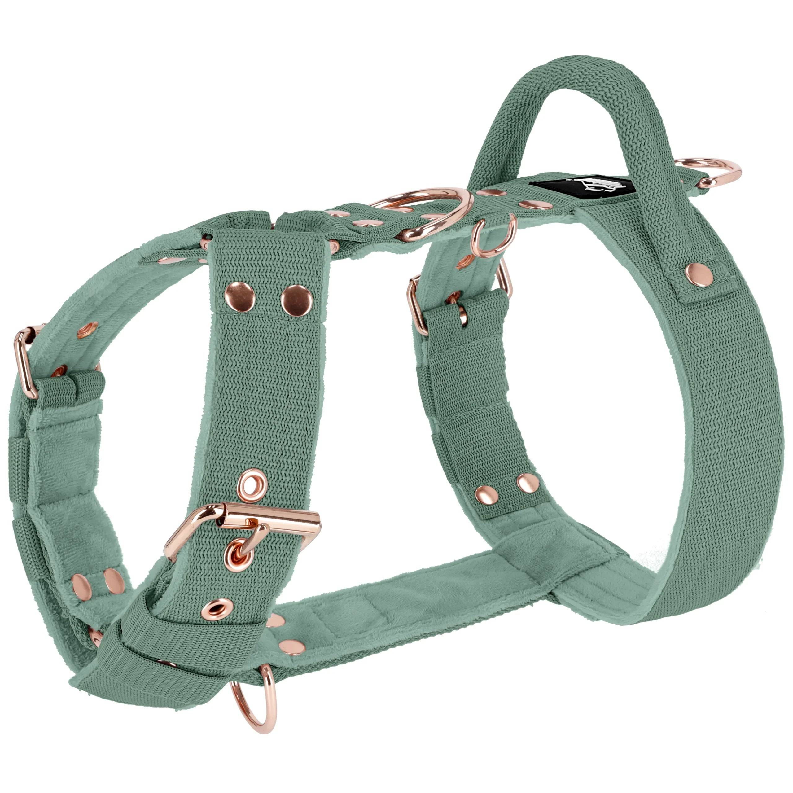 Easy Walk Rose Edition Pastel Green- Sele med handtag - Default Title