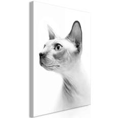 Lærredstryk Hairless Cat (1 del)