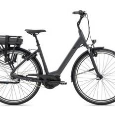 Giant ENTOUR E+ 1 RT DAME Inkl. 300Wh Batteri