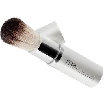 Retractable Brush