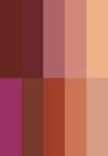 COLOR ICON 10-PAN PALETTE - Ögonskuggepalett - comfort zone