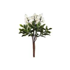 Julius bärkvist snittblomma vit - Vit (H: 20 cm)