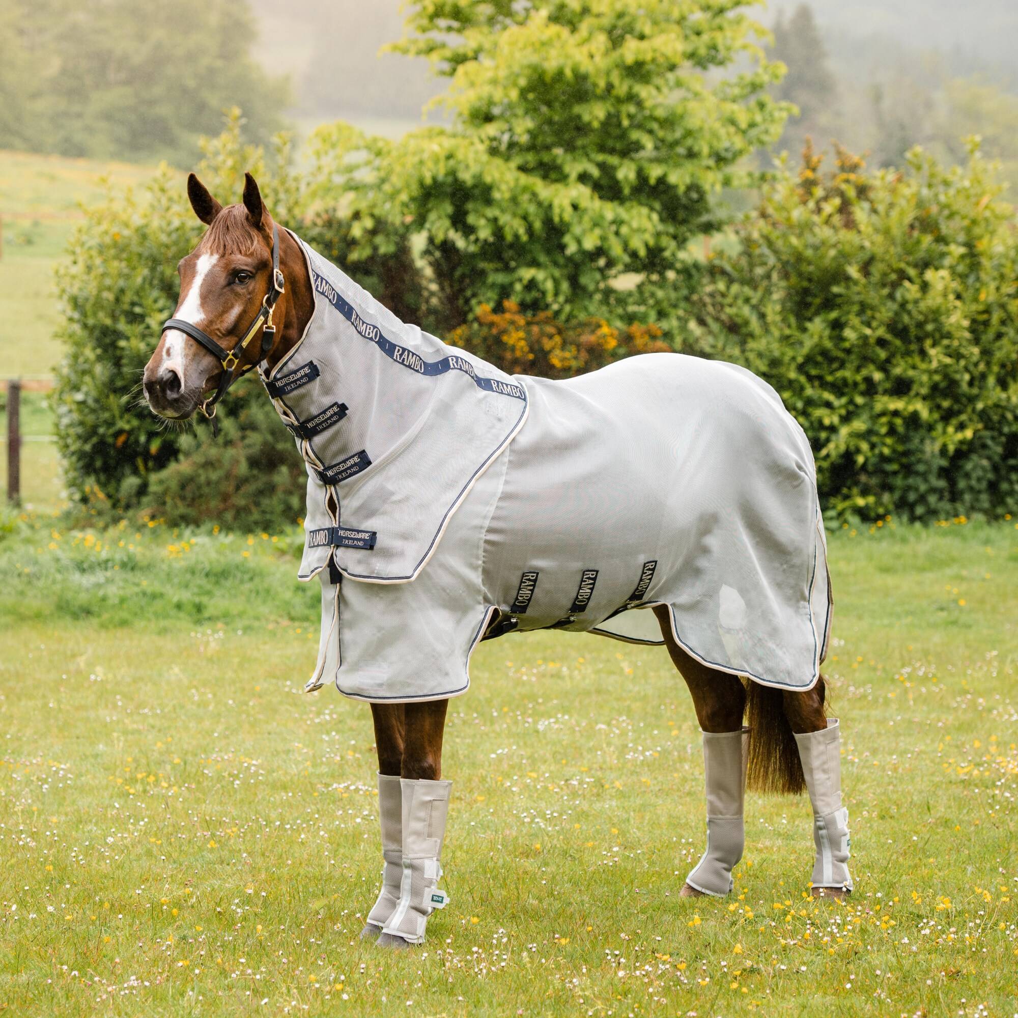 Rambo Protector - Silver, Horseware