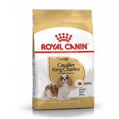 Royal Canin Cavalier King Charles Adult -