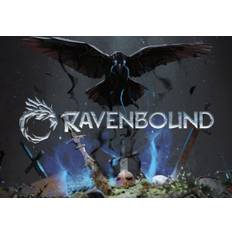 Ravenbound (PC) Steam Key - GLOBAL