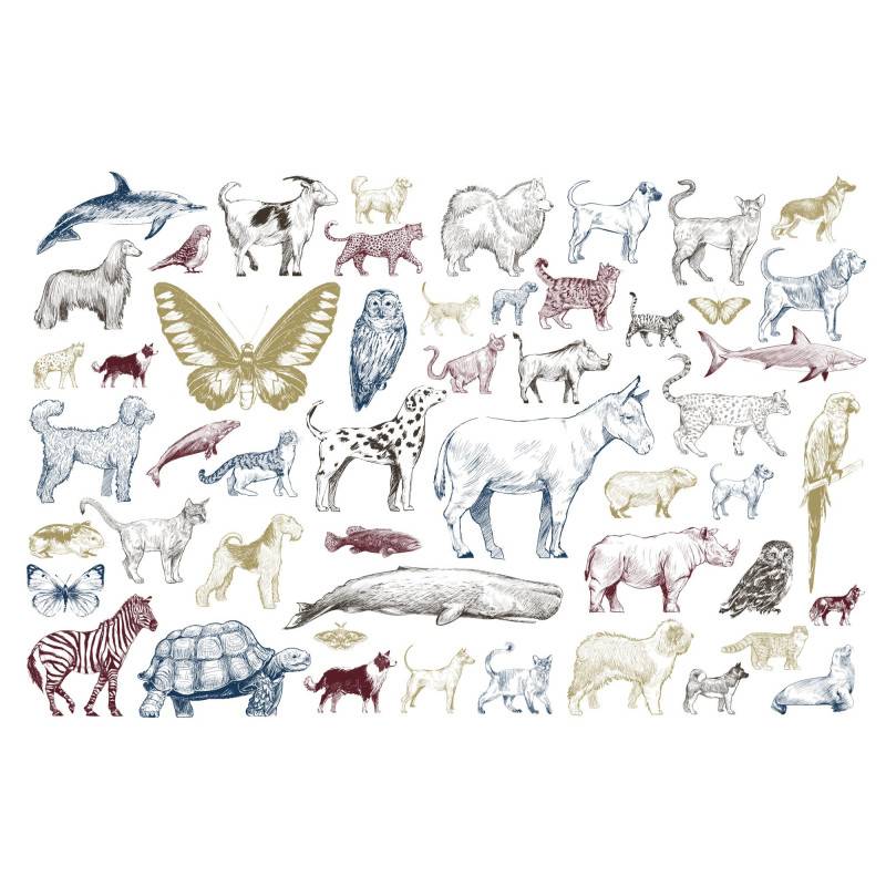 Fototapet - Animal Collection Ii.