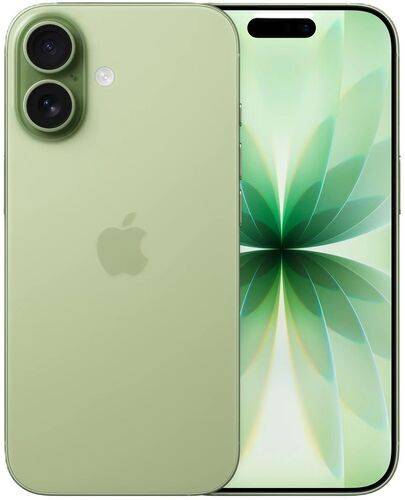 iPhone 17 | 512 GB | Dual-SIM (2 x eSIM) | salvia