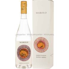 Marolo Grappa di Pigato