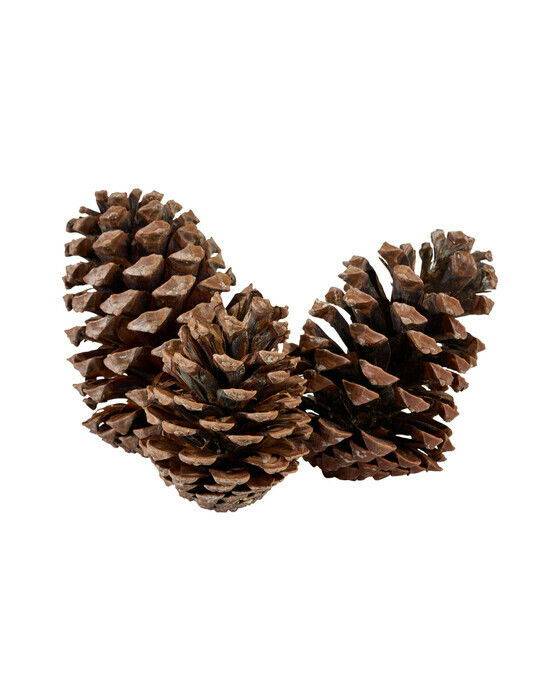 Newport Geoffrey kottar juldekoration 3-pack - Brun