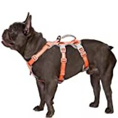 Huntboo Hundsele,Hundselen,Hundsele för bil, helt reflekterande sele med vadderat handtag, andningsbar, hållbar, justerbar väst för medelstora hundar som går, tränar och kör utrustning