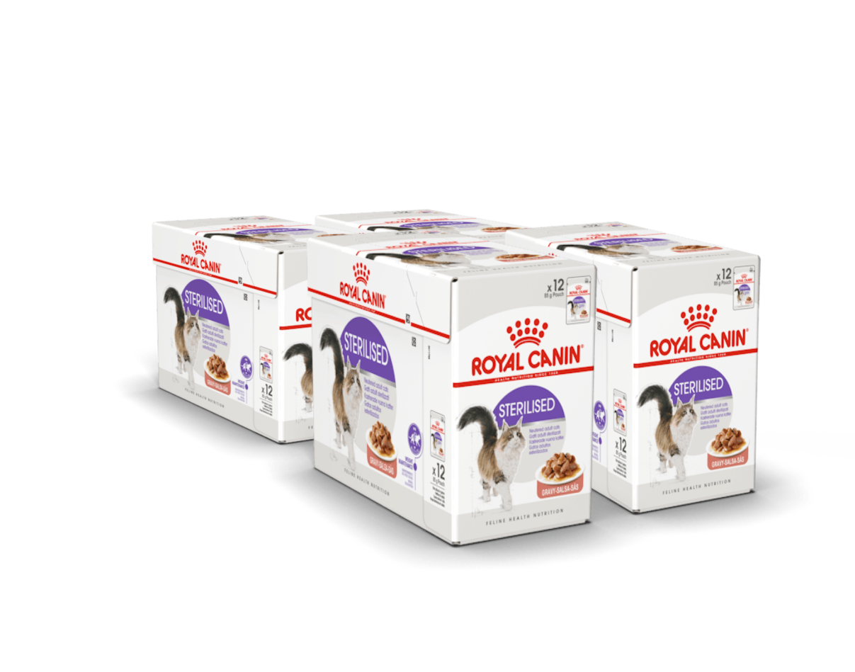 Royal Canin Sterilised Gravy Adult Våtfoder för katt 85 g x 48 st