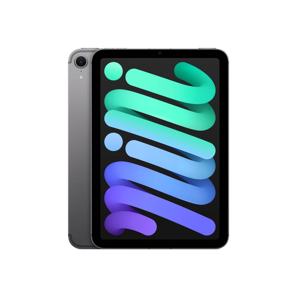 Apple iPad mini Wi‑Fi + Cellular 256 GB – rymdgrå