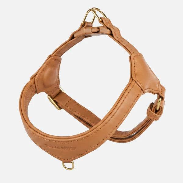 William Walker Step-in-hundesele i læder - Cognac / 2