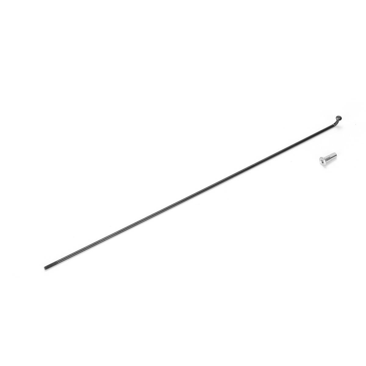 Rear Spokes 13g*233 Evobike Elegant