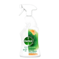 Dettol Allesreiniger Spray Mandarijn & Citroenbloesem 500ML