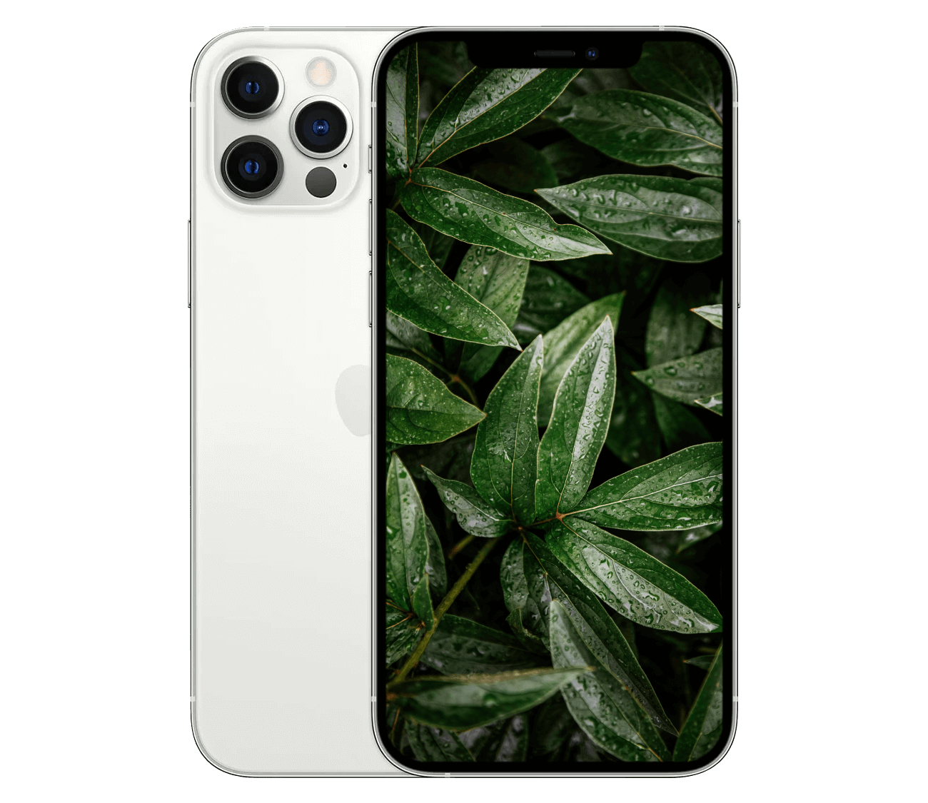 iPhone 12 Pro
