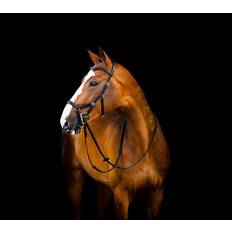 Horseware Micklem 2 Deluxe Competition Trense