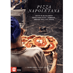 Natur och kultur allmänlitt Pizza Napoletana : Jakten på en fulländad napoletansk pizza