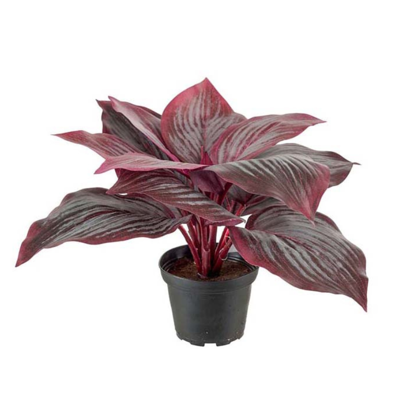 Hosta - Mørkerød Kunstig 20 cm