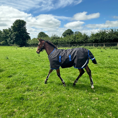 AMIGO RIPSTOP FOAL RUG 9 50GR