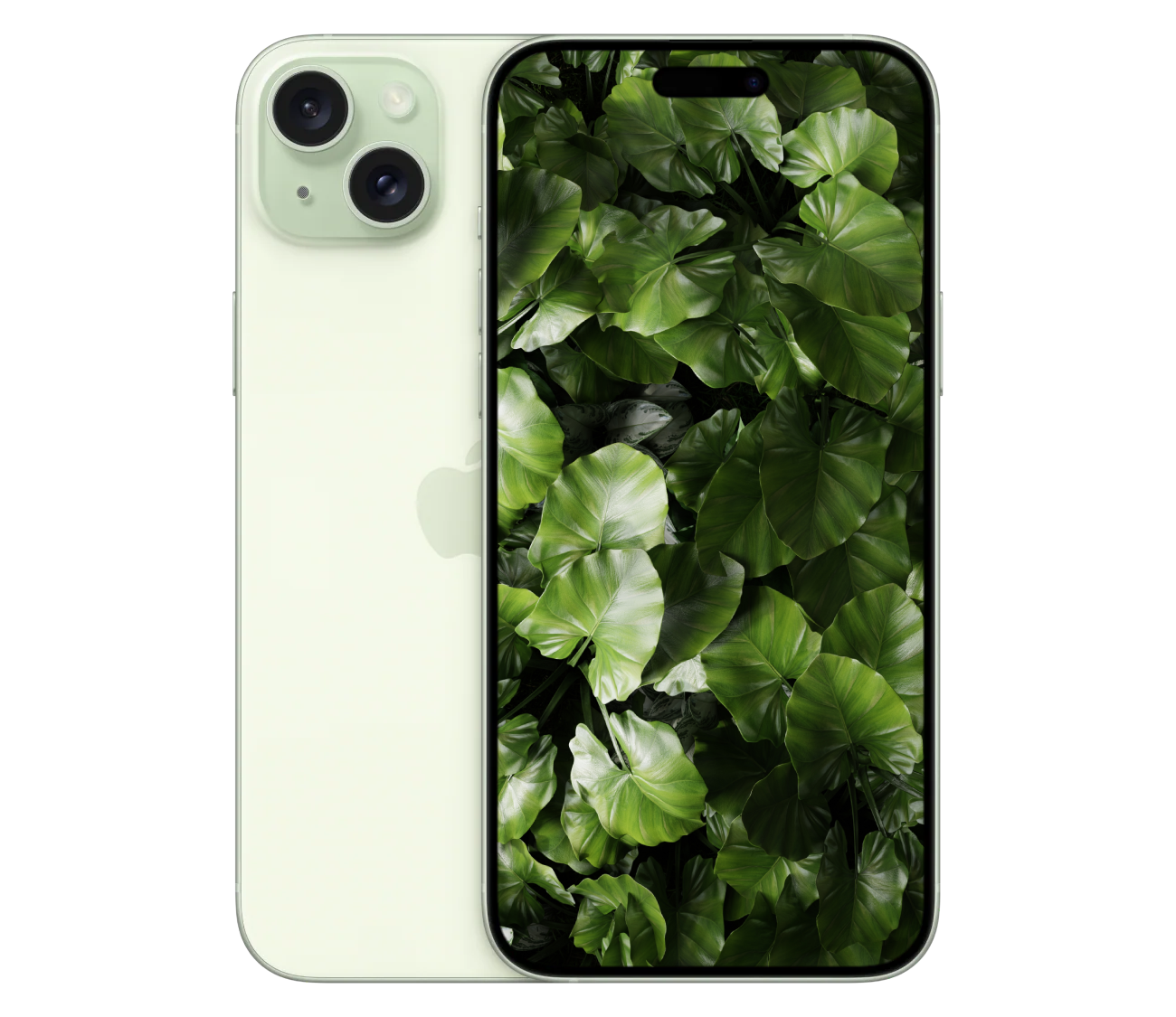 iPhone 15 Plus