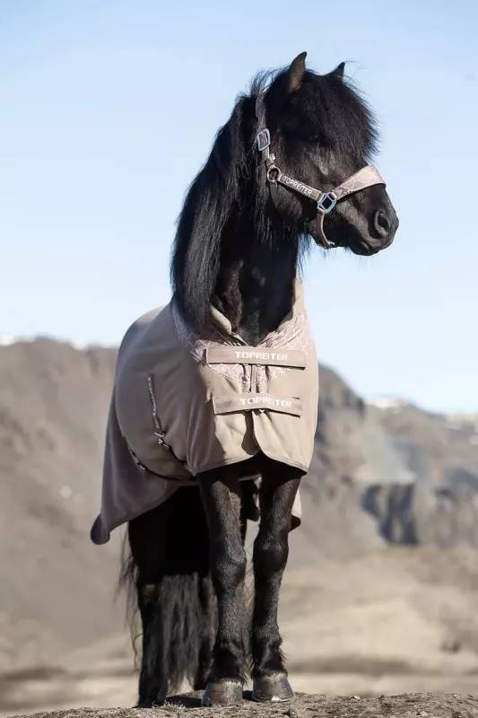 Top Reiter Klaki Antisvettäcke (Beige/brun, 125 cm)