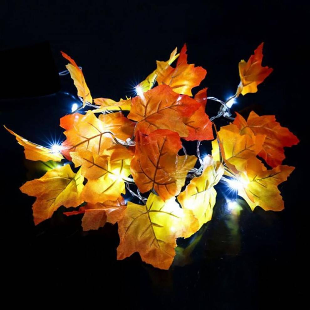 Ljusslinga med lönnmotiv och julmotiv för Thanksgiving (vitt ljus)