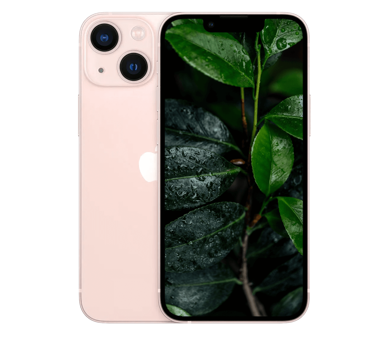 iPhone 13 Mini