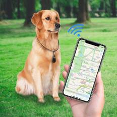 Kæledyr GPS-tracker og aktivitets monitor hunde og katte - Hvid