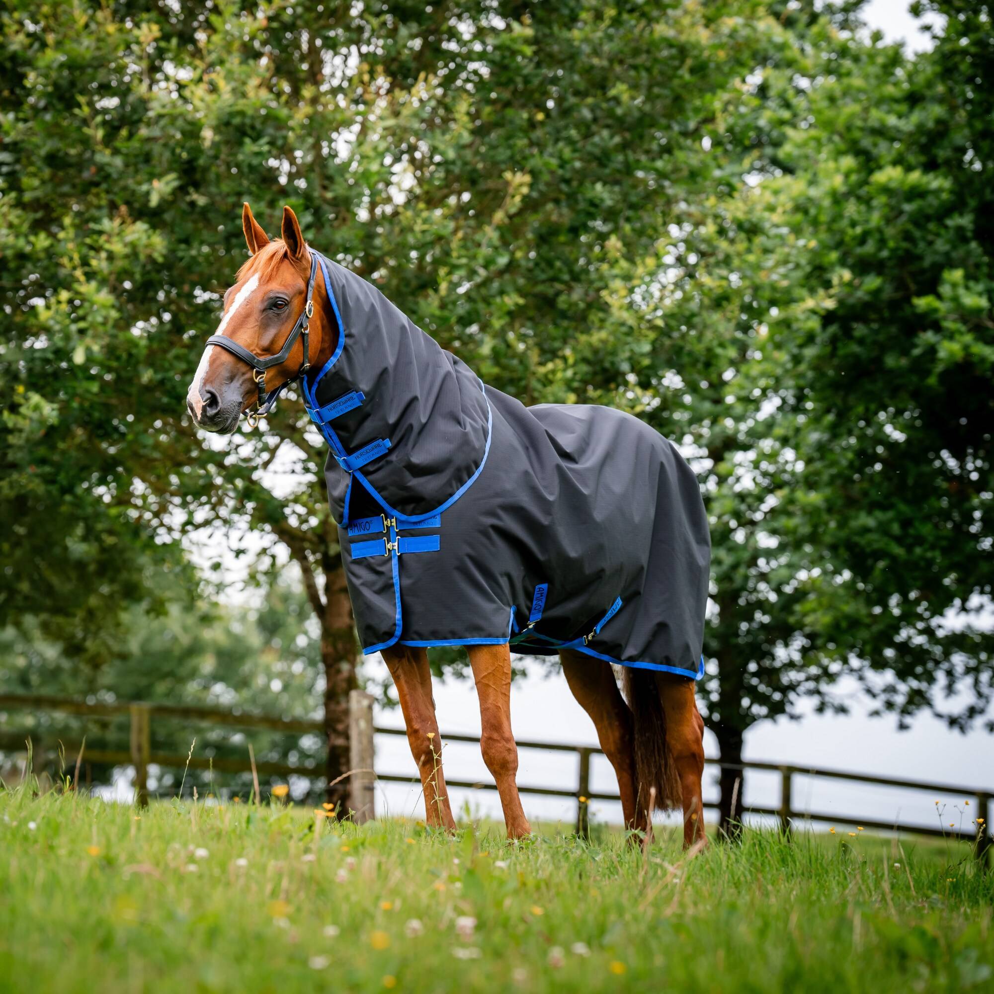 Amigo RS 900D Plus TO - 100 gr - Svart, Horseware