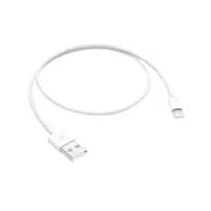 Apple Lightning to USB Cable (0.5 m)