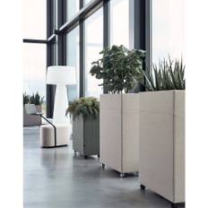 Plant Divider