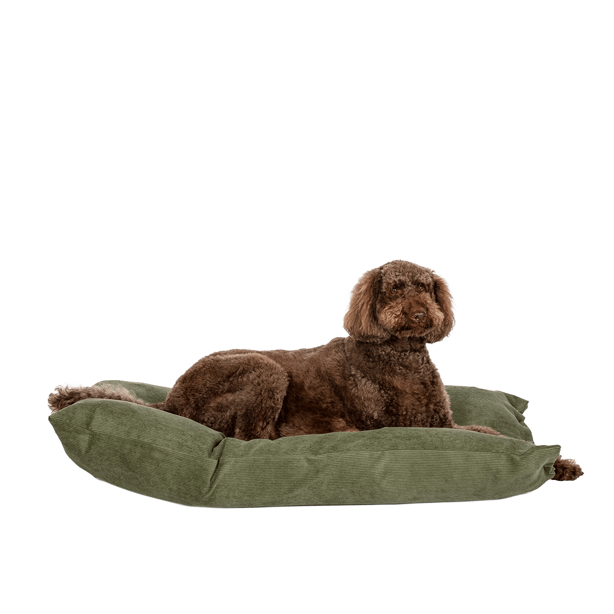D.D. Elden Fern Deep Duvet M.