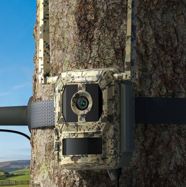 Camovue Talon Pro 4G vildtkamera med live video 4K