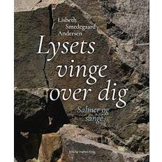 Lysets vinge over dig - Brugt Bog- Lisbeth Smedegaard Andersen
