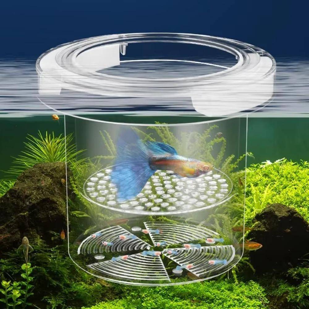 Transparent Akvarieisoleringslåda Räkor Guppy Akvarieuppfödare Matare för Akvarium