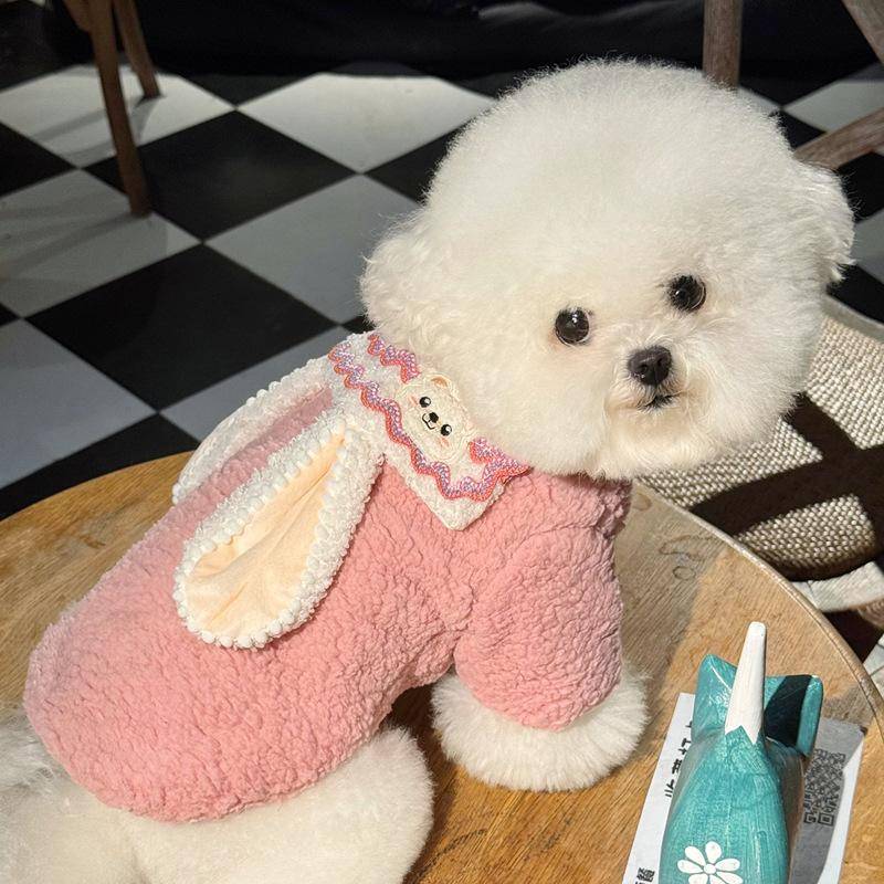 Hundkläder Höst Teddy Bichon Yorkshire Katt Pudel Yorkshire Liten Hund Husdjur Höst- och Vinterkläder