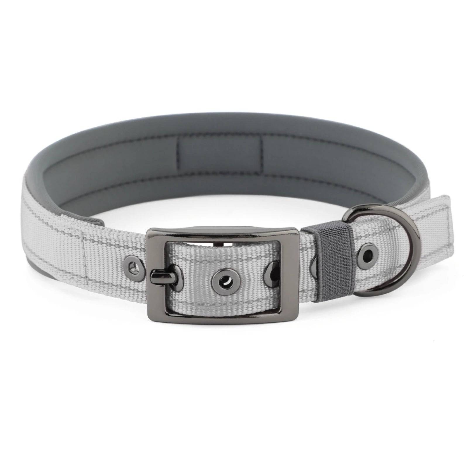 Neoprene Padded Reflective Dog Collar with Metal Buckle - Light Grey / S / SP (S)