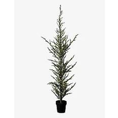 SIRIUS HOME Milas Cedar Tree 190 cm |Green |H:190 cm 190 cm