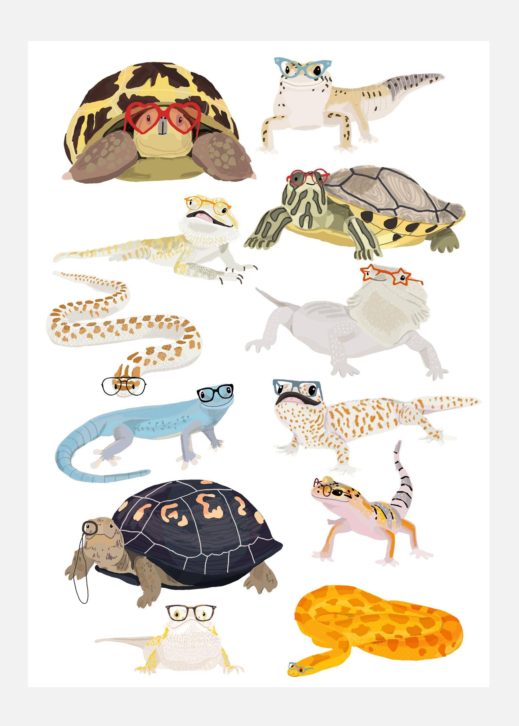 Reptiles In Glasses Canvastavla (50x70 cm)