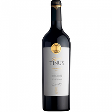 Bodegas Figuero Tinus 2019 Ribera del Duero